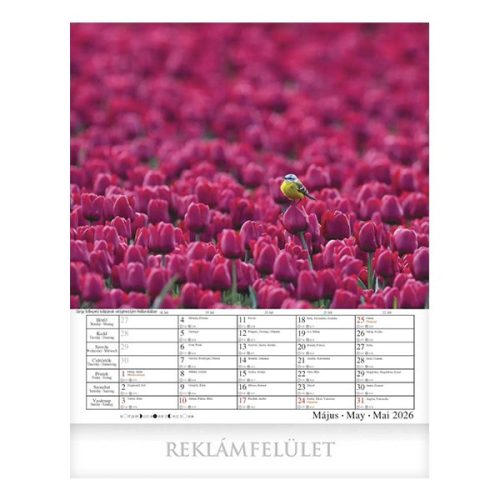 Falinaptár CSG 300x340mm álló Csodálatos Bolygónk 2026.