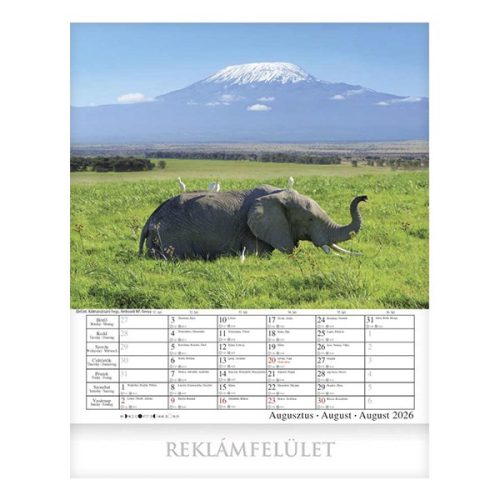 Falinaptár CSG 300x340mm álló Csodálatos Bolygónk 2026.