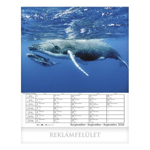 Falinaptár CSG 300x340mm álló Csodálatos Bolygónk 2026.