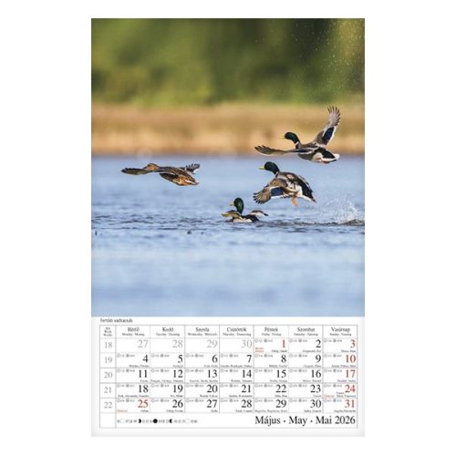 Falinaptár CSG 210x320mm álló Magyar tájak 2026.