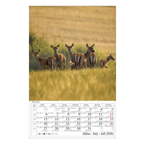 Falinaptár CSG 210x320mm álló Magyar tájak 2026.