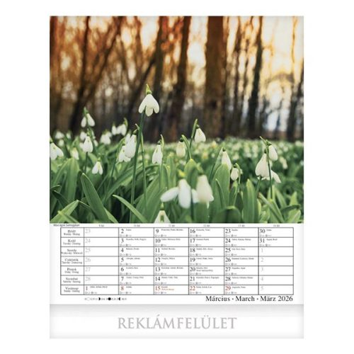 Falinaptár CSG 300x340mm álló Hazai tájakon 2026.