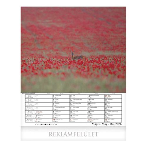 Falinaptár CSG 300x340mm álló Hazai tájakon 2026.