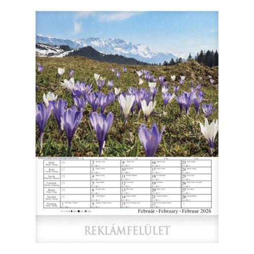 Falinaptár CSG 300x340mm álló Alpok 2026.