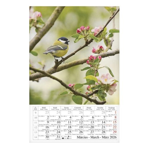 Falinaptár CSG 210x320mm álló Négy évszak 2026.