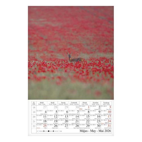 Falinaptár CSG 210x320mm álló Négy évszak 2026.