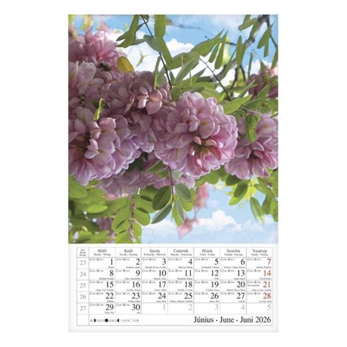 Falinaptár CSG 210x320mm álló Négy évszak 2026.