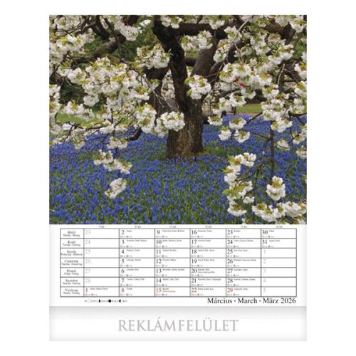 Falinaptár CSG 300x340mm álló Virágzó kertjeink 2026.