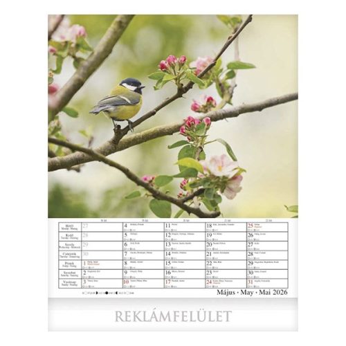 Falinaptár CSG 300x340mm álló Virágzó kertjeink 2026.