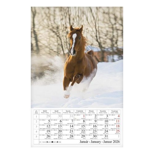 Falinaptár CSG 210x320mm álló Lovak 2026.