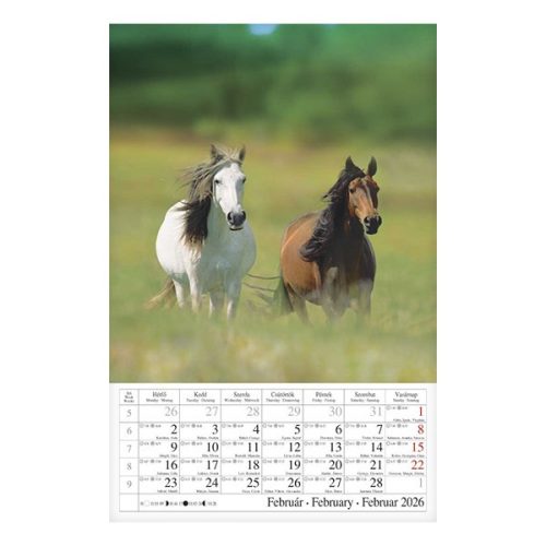 Falinaptár CSG 210x320mm álló Lovak 2026.