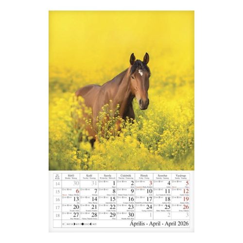 Falinaptár CSG 210x320mm álló Lovak 2026.