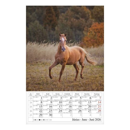 Falinaptár CSG 210x320mm álló Lovak 2026.