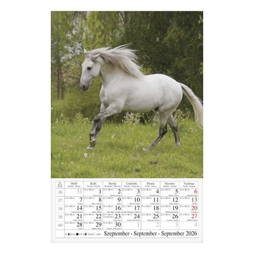 Falinaptár CSG 210x320mm álló Lovak 2026.