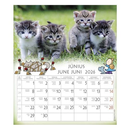 Falinaptár CSG 190x220mm álló Én és a barátaim 2026.