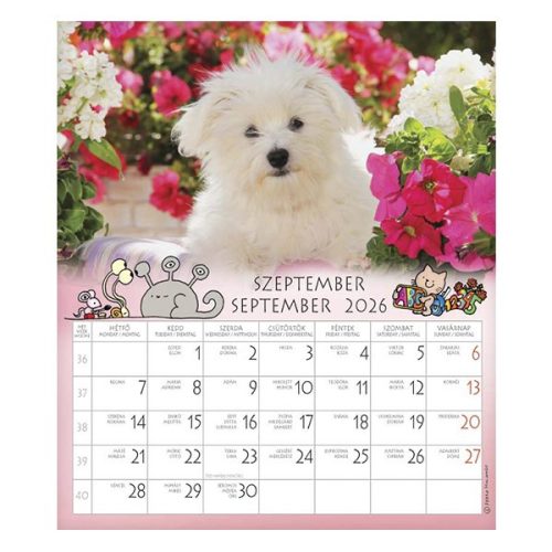 Falinaptár CSG 190x220mm álló Én és a barátaim 2026.