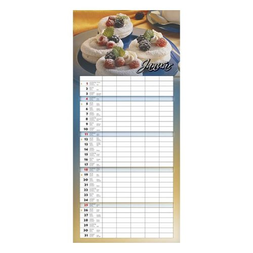 Falinaptár CSG 220x480mm álló Családi 2026.