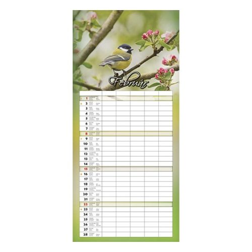 Falinaptár CSG 220x480mm álló Családi 2026.