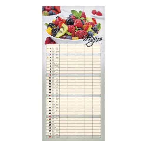 Falinaptár CSG 220x480mm álló Családi 2026.