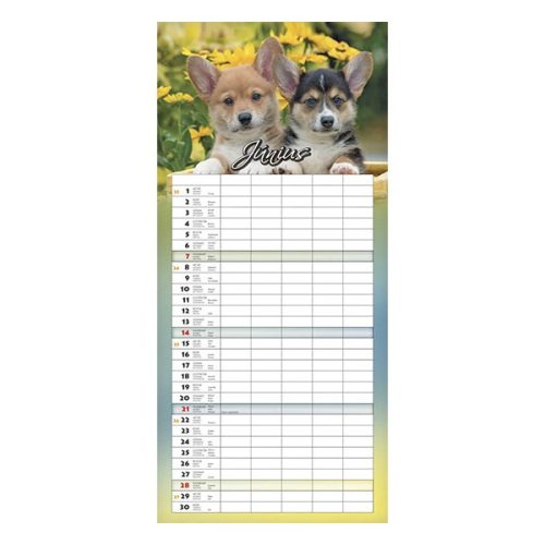 Falinaptár CSG 220x480mm álló Családi 2026.