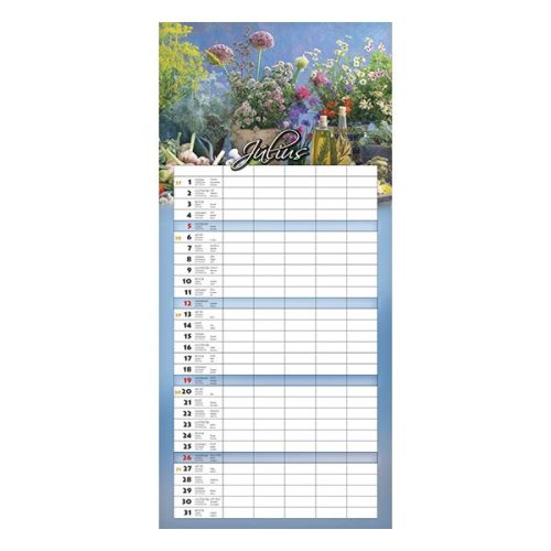 Falinaptár CSG 220x480mm álló Családi 2026.