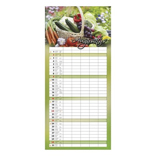 Falinaptár CSG 220x480mm álló Családi 2026.