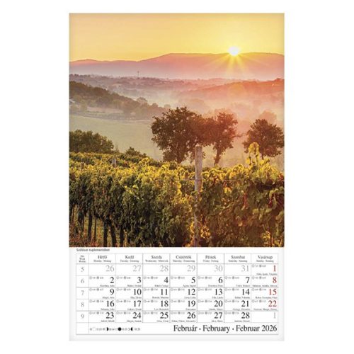 Falinaptár CSG 210x320mm álló Borvidék 2026.