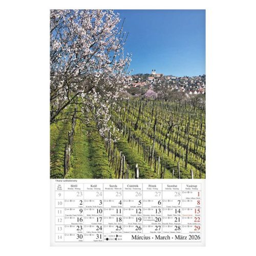 Falinaptár CSG 210x320mm álló Borvidék 2026.