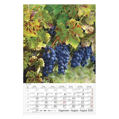 Falinaptár CSG 210x320mm álló Borvidék 2026.