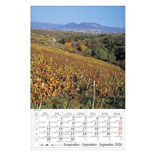 Falinaptár CSG 210x320mm álló Borvidék 2026.