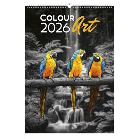 Falinaptár TOPTIMER T092 315x450mm álló Colour Art 2026.