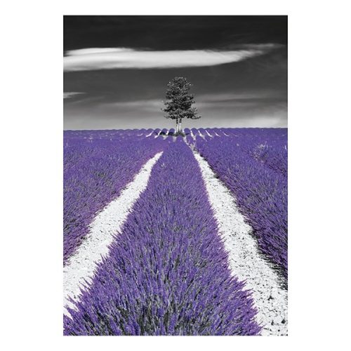 Falinaptár TOPTIMER T092 315x450mm álló Colour Art 2026.