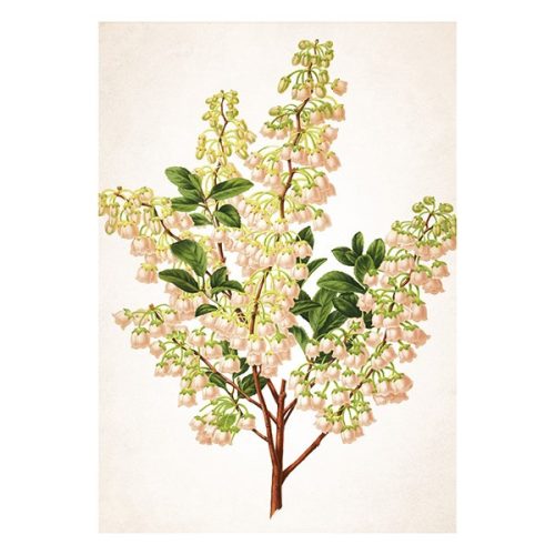 Falinaptár TOPTIMER T092 315x450mm álló Herbárium 2026.