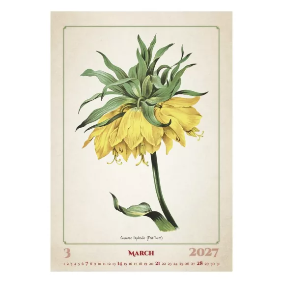Falinaptár TOPTIMER T092 315x450mm álló Herbárium 2027 Falinaptár TOPTIMER T092 315x450mm álló Herbárium 2027