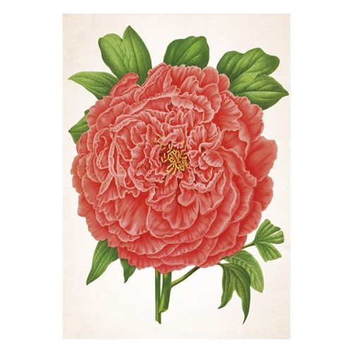 Falinaptár TOPTIMER T092 315x450mm álló Herbárium 2026.