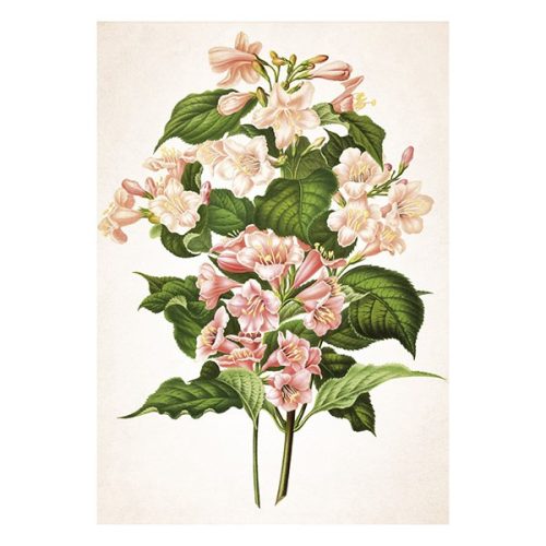 Falinaptár TOPTIMER T092 315x450mm álló Herbárium 2026.