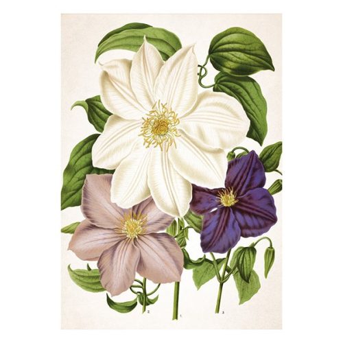 Falinaptár TOPTIMER T092 315x450mm álló Herbárium 2026.