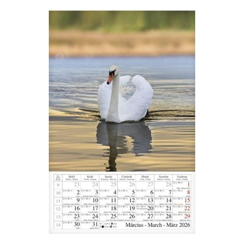 Falinaptár CSG 210x320mm álló Vizeink világa 2026.