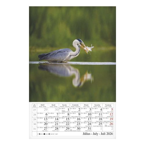 Falinaptár CSG 210x320mm álló Vizeink világa 2026.