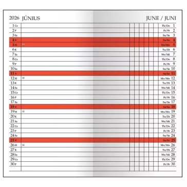   Zsebnaptár leporellós REALSYSTEM álló fehér lapos fekete 2026.