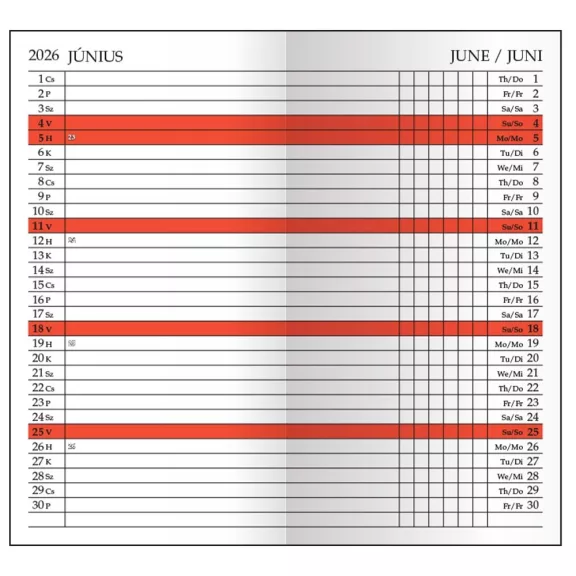 Zsebnaptár leporellós REALSYSTEM álló fehér lapos fekete 2026.