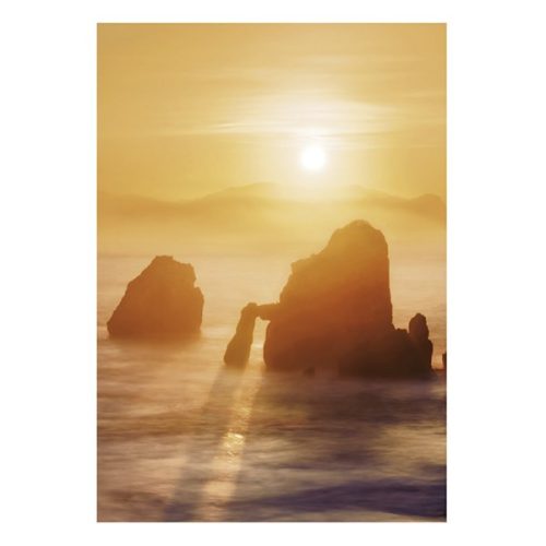 Falinaptár TOPTIMER T092 315x450mm álló Nature Emotions 2026.