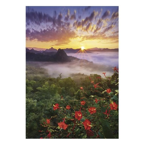 Falinaptár TOPTIMER T092 315x450mm álló Nature Emotions 2026.