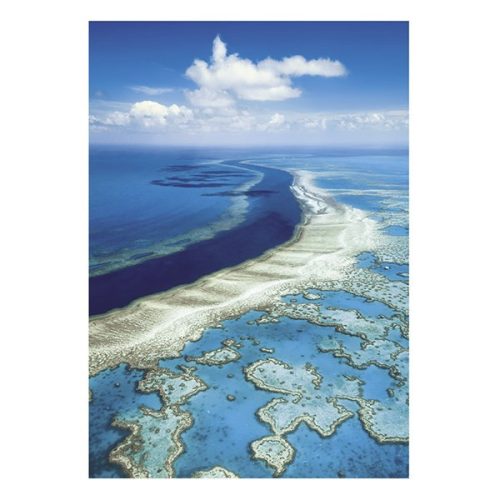 Falinaptár TOPTIMER T092 315x450mm álló Nature Emotions 2026.