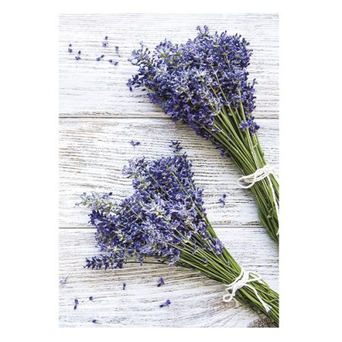 Falinaptár TOPTIMER T092 315x450mm álló Provence 2026.