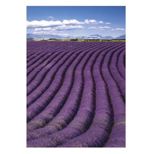 Falinaptár TOPTIMER T092 315x450mm álló Provence 2026.