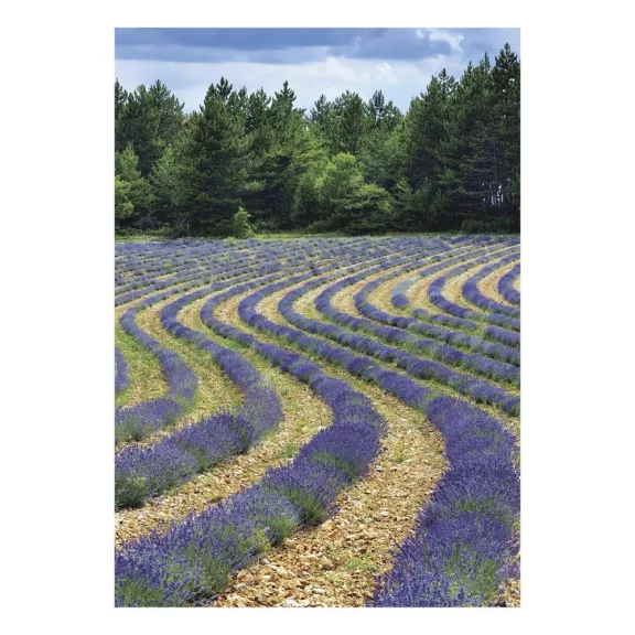 Falinaptár TOPTIMER T092 315x450mm álló Provence 2027 Falinaptár TOPTIMER T092 315x450mm álló Provence 2027