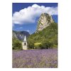 Falinaptár TOPTIMER T092 315x450mm álló Provence 2026.