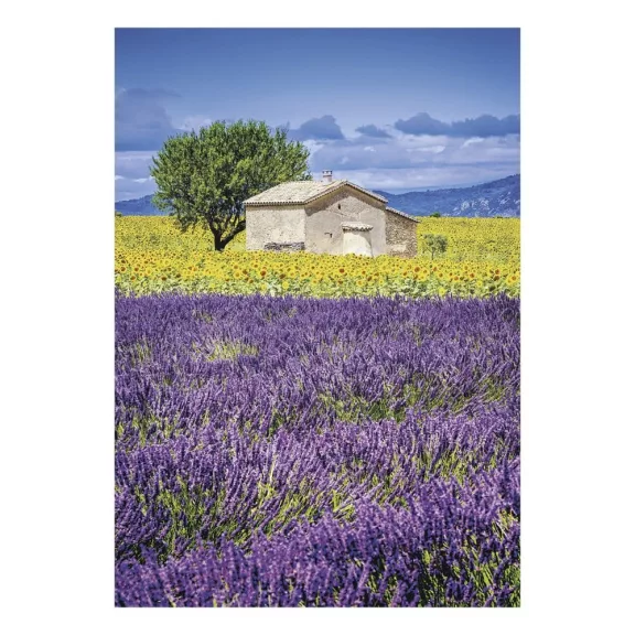 Falinaptár TOPTIMER T092 315x450mm álló Provence 2027 Falinaptár TOPTIMER T092 315x450mm álló Provence 2027
