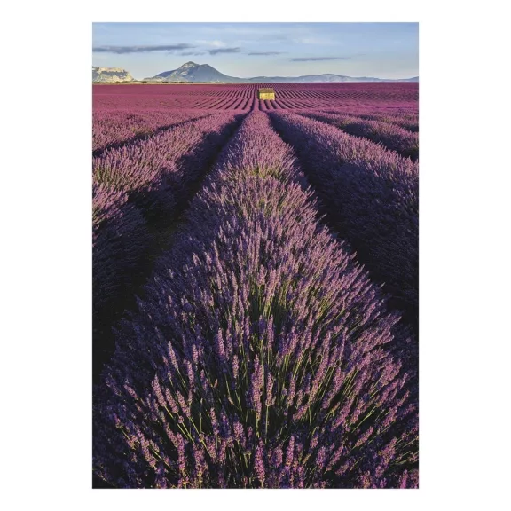 Falinaptár TOPTIMER T092 315x450mm álló Provence 2027 Falinaptár TOPTIMER T092 315x450mm álló Provence 2027